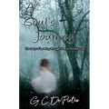 A Soul's Journey: The Story of Traveling through Time to Find the Truth - Paperback