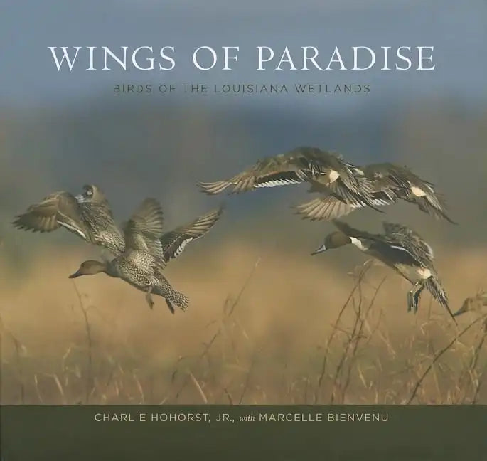 Wings of Paradise: Birds of the Louisiana Wetlands - Hardcover