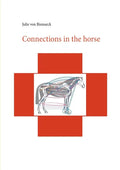 Connections in the horse - Paperback