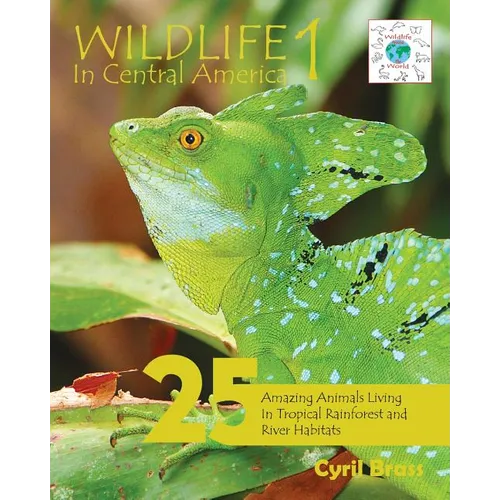 Wildlife In Central America 1: 25 Amazing Animals Living in Tropical Rainforest and River Habitats - Paperback
