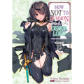 How Not to Summon a Demon Lord: Volume 13 (Light Novel): Volume 13 - Paperback