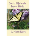 Social Life in the Insect World - Hardcover