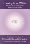 Looking from Within - Paperback