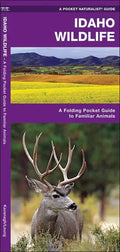 Idaho Wildlife: A Folding Pocket Guide to Familiar Animals - Paperback