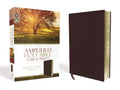 Amplified Bible-Am-Large Print: Captures the Full Meaning Behind the Original Greek and Hebrew - Bonded Leather