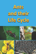 Ants and their Life Cycle - Paperback