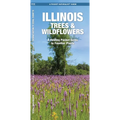 Illinois Trees & Wildflowers: A Folding Pocket Guide to Familiar Plants - Hardcover