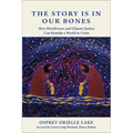 The Story Is in Our Bones: How Worldviews and Climate Justice Can Remake a World in Crisis - Paperback