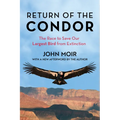 Return of the Condor: The Race to Save Our Largest Bird from Extinction - Paperback