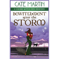 Bewitchment After the Storm: A Viking Witch Cozy Mystery - Paperback