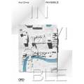 Invisible - Hardcover