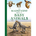 The Magnificent Book of Baby Animals - Hardcover