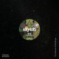 Skylab: The Nature of Buildings - Hardcover