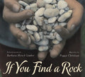 If You Find a Rock - Paperback