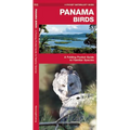Panama Birds: A Folding Pocket Guide to Familiar Species - Paperback