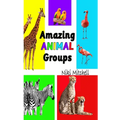 Amazing Animal Groups: A Fun Exploration of Nature LARGE PRINT: A Fun Exploration of Nature - Hardcover