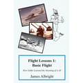 Flight Lessons 1: Basic Flight: How Eddie Learned the Meaning of it All - Paperback