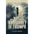 Navigating the Stormy Seas: My Journey of Triumph - Paperback