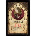 Invisible Fire: Traditional Themes in Western Mysticism and Sethian Gnosticism - Paperback