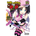 High School DXD, Vol. 15 (Light Novel): Volume 15 - Paperback