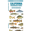 California Freshwater Fishes - Paperback