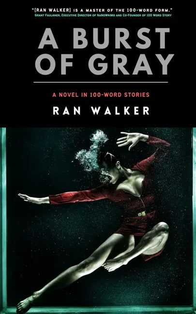A Burst of Gray: A Novel in 100-Word Stories - Paperback