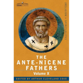The Ante-Nicene Fathers: The Writings of the Fathers Down to A.D. 325, Volume X Bibliographic Synopsis; General Index - Paperback