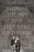 Because the Sky is a Thousand Soft Hurts - Paperback