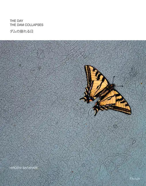 The Day the Dam Collapses - Hardcover