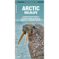 Arctic Wildlife: A Folding Pocket Guide to Familiar Animals & Plants of the Arctic and Subarctic Regions