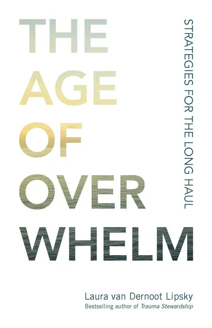 The Age of Overwhelm: Strategies for the Long Haul - Paperback