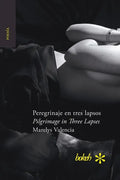 Peregrinaje en tres lapsos / Pilgrimage in Three Lapses - Paperback