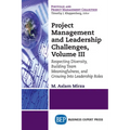 Project Management and Leadership Challenges, Volume III: Respecting Diversity, Building Team Meaningfulness, and Growing to Leadership Roles - Paperback