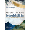 Alternative to the Bread of Affliction: And Other Essays - Paperback