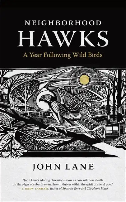 Neighborhood Hawks: A Year Following Wild Birds - Paperback