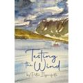 Testing the Wind - Paperback