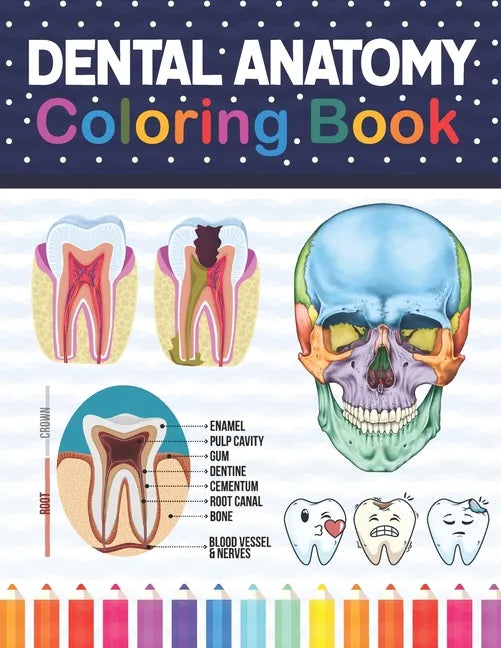 Dental Anatomy Coloring Book: Learn the Basics of Dental Anatomy. Dental Anatomy Coloring Book for Cute Children's, Kids, Boys, Girls, Dental Assistan - Paperback