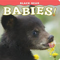 Black Bear Babies! - Board Book
