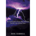 In the Image of God (or Not): The Legal Rights of God, Man, and Satan And the Logic Behind Them - Paperback