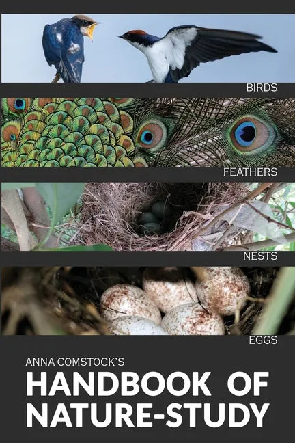 The Handbook Of Nature Study in Color - Birds - Paperback