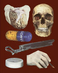 Damien Hirst: The Elusive Truth - Paperback