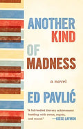 Another Kind of Madness - Paperback