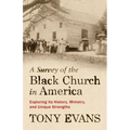 A Survey of the Black Church in America: Exploring Its History, Ministry, and Unique Strengths - Paperback