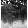 Dawoud Bey: Elegy - Hardcover