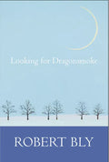 Looking for Dragon Smoke: Essays on Poetry - Paperback
