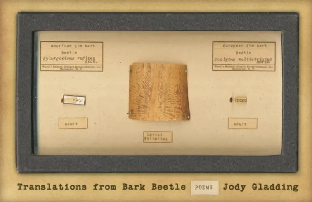 Translations from Bark Beetle: Poems - Paperback