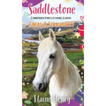 Saddlestone Connemara Pony Listening School Sinead and Strawberry - Hardcover