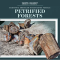 Petrified Forests - Paperback
