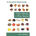 Tree, Shrub, and Vine Seeds: A Pictorial Field Guide - Paperback