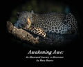 Awakening Awe: An Illustrated Journey to Reverence - Hardcover